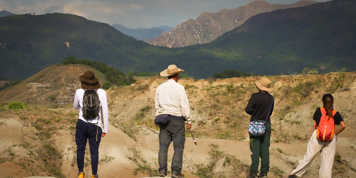 Imagen de referencia