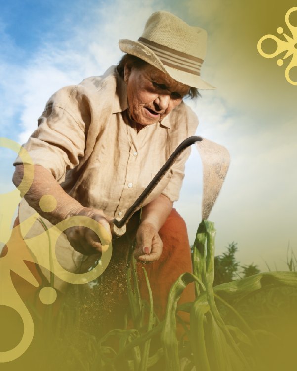 Imagen del programa, formato 16:9.