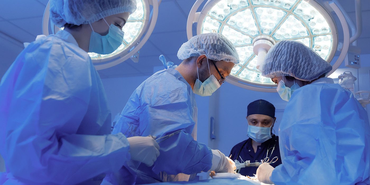 Imagen de referencia