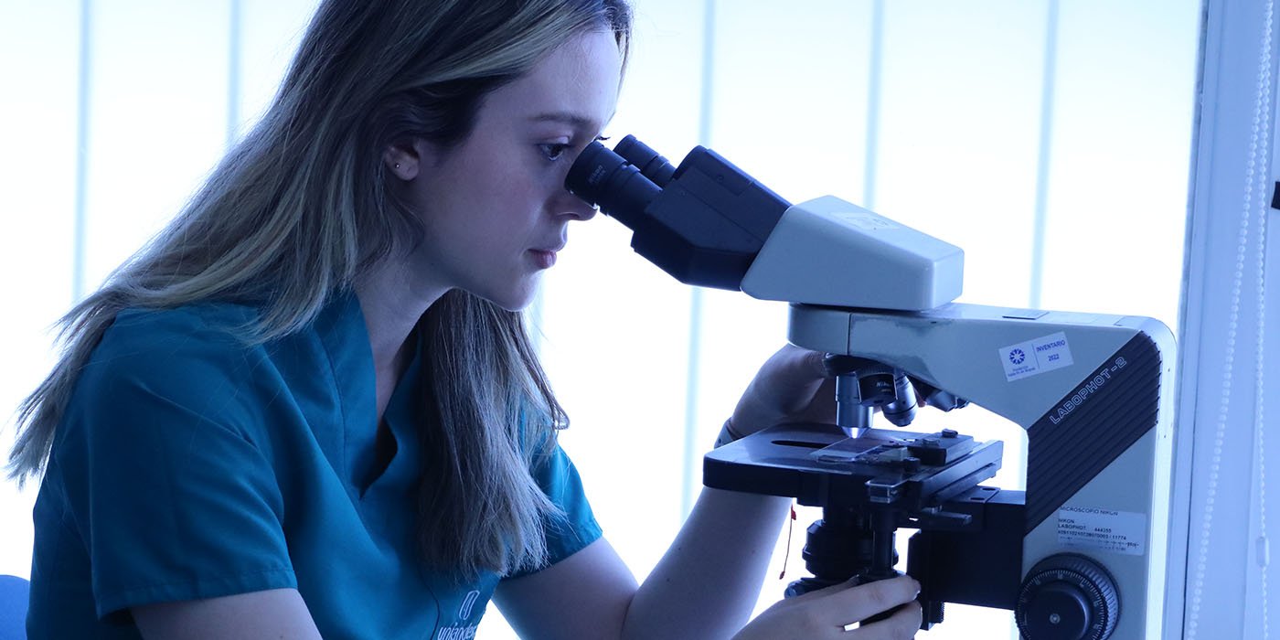 Imagen de referencia