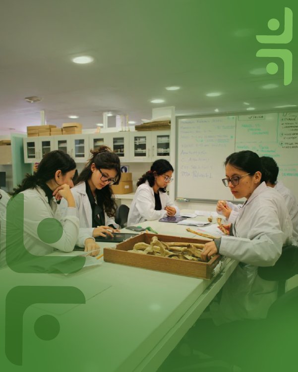 Imagen del programa, formato 16:9.