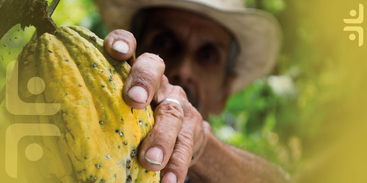 Imagen de referencia