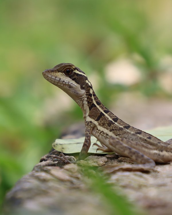 Imagen del programa, formato 16:9.