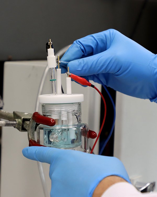 Imagen de referencia